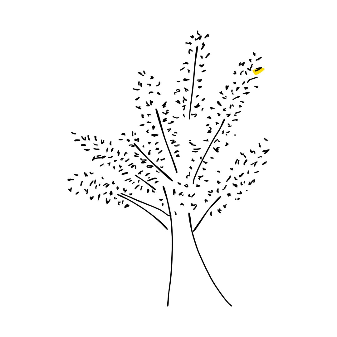 Untitled design (35)